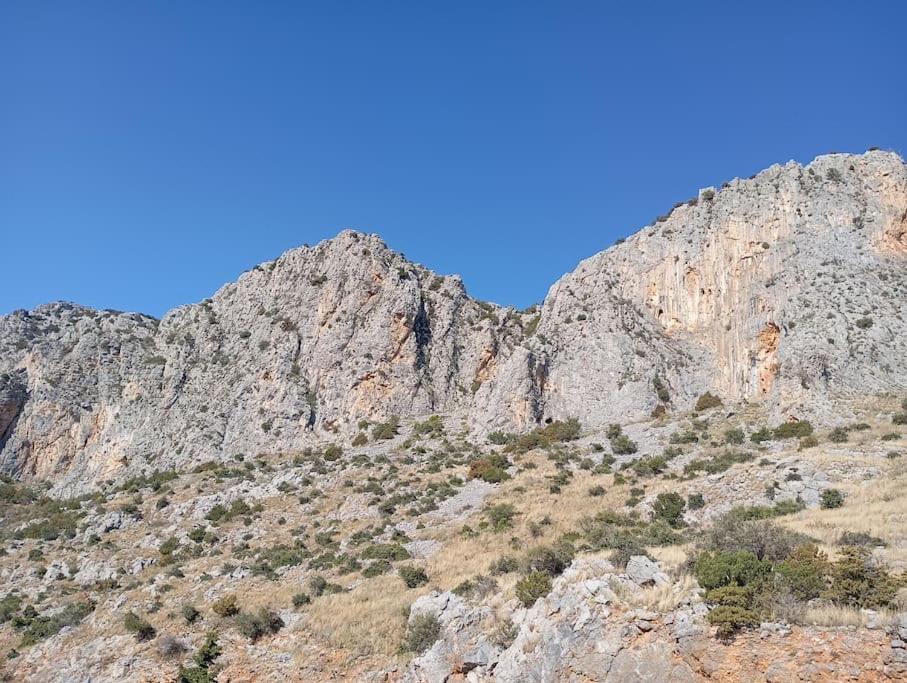 La Nature Konistres Bagian luar foto