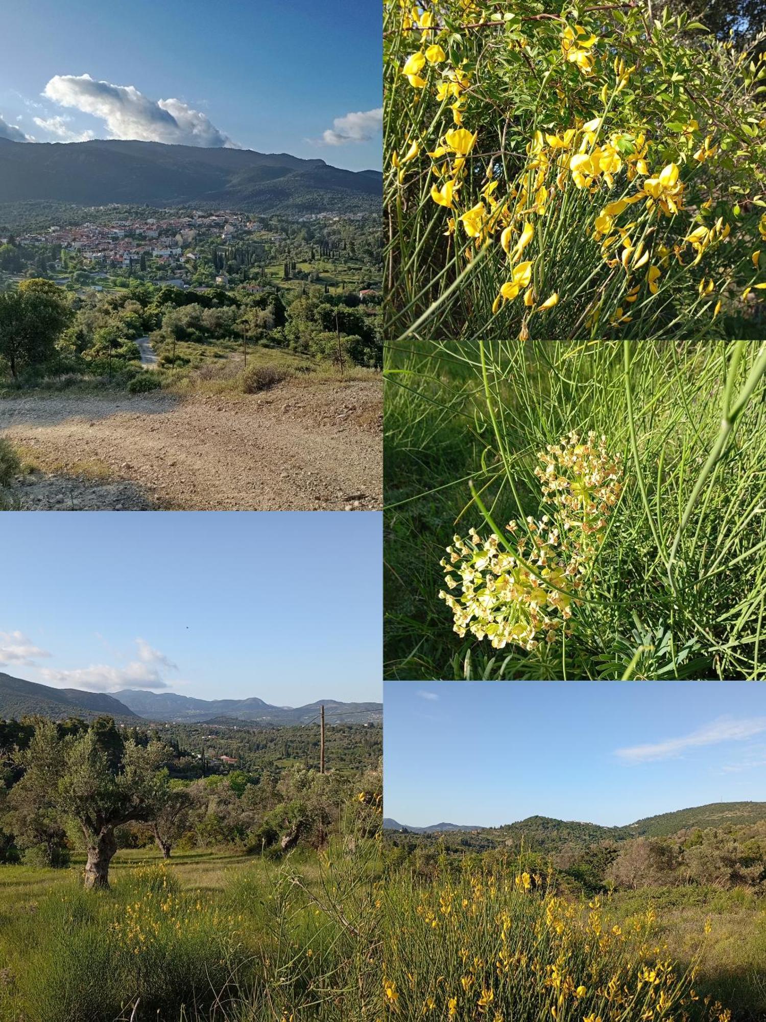 La Nature Konistres Bagian luar foto